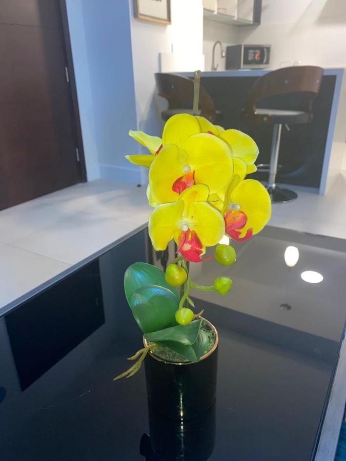 Parkhurst 1 Apartment Kingston Bagian luar foto